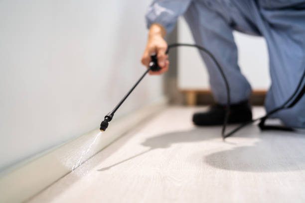 Licensed Termite Control service in Mississippi, MS - Nex Pest Control
